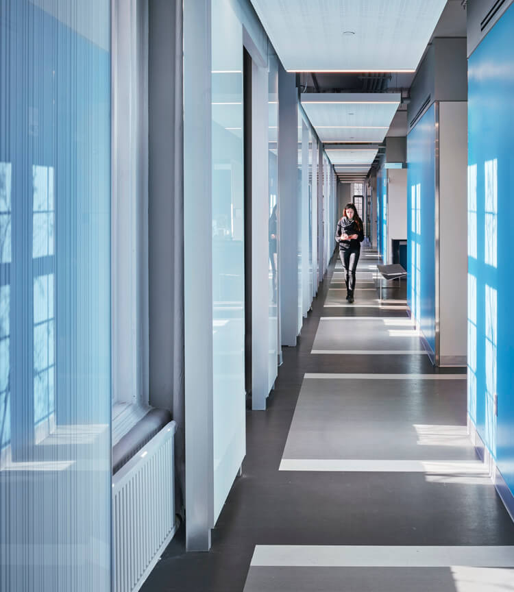 colored partitions, princeton university, mccosh health center